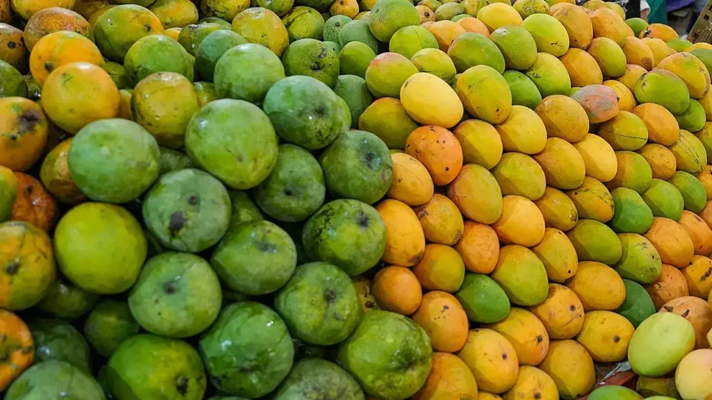 ہندوستانی آم