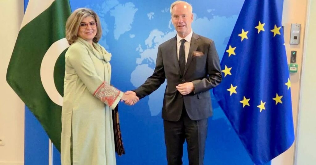 برسلز میں پاکستان اور یورپی یونین کے وفود میں ڈائیلاگ