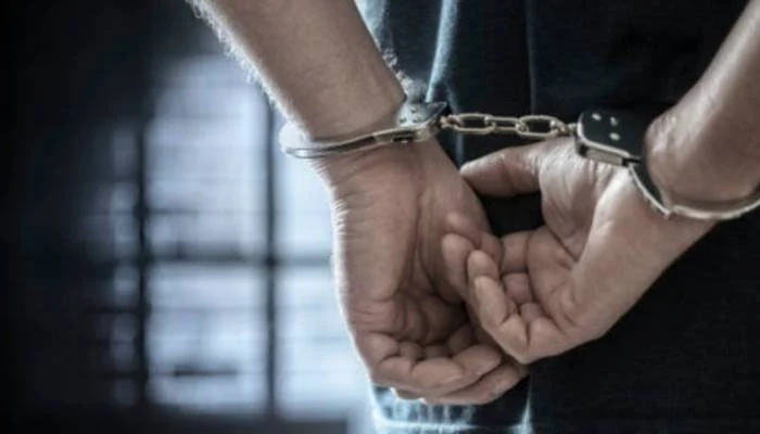 مدثر حسن کیس سے قبل مشہور یوٹیوبر ڈکی بھائی کو بھی اسی نوعیت کے کیس میں گرفتار کیا گیا ہے