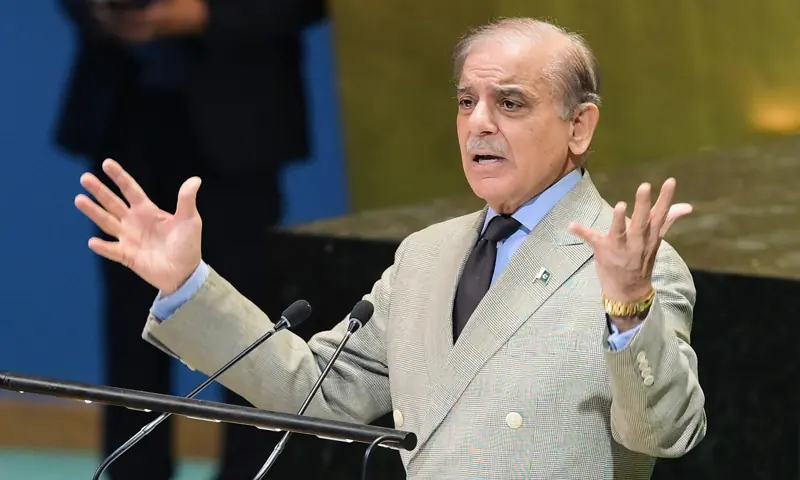 سلامتی کونسل کی تقریر میں چھ سالہ فلسطینی بچی کی داستان سنا کر شہباز شریف نے سب کو آبدیدہ کر دیا