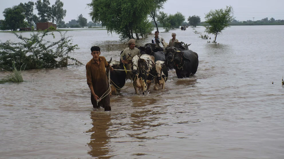 بھارت سے آنے والے نئے سیلابی ریلوں نے پنجاب میں سیلاب کی صورتحال مزید خطرناک بنادی