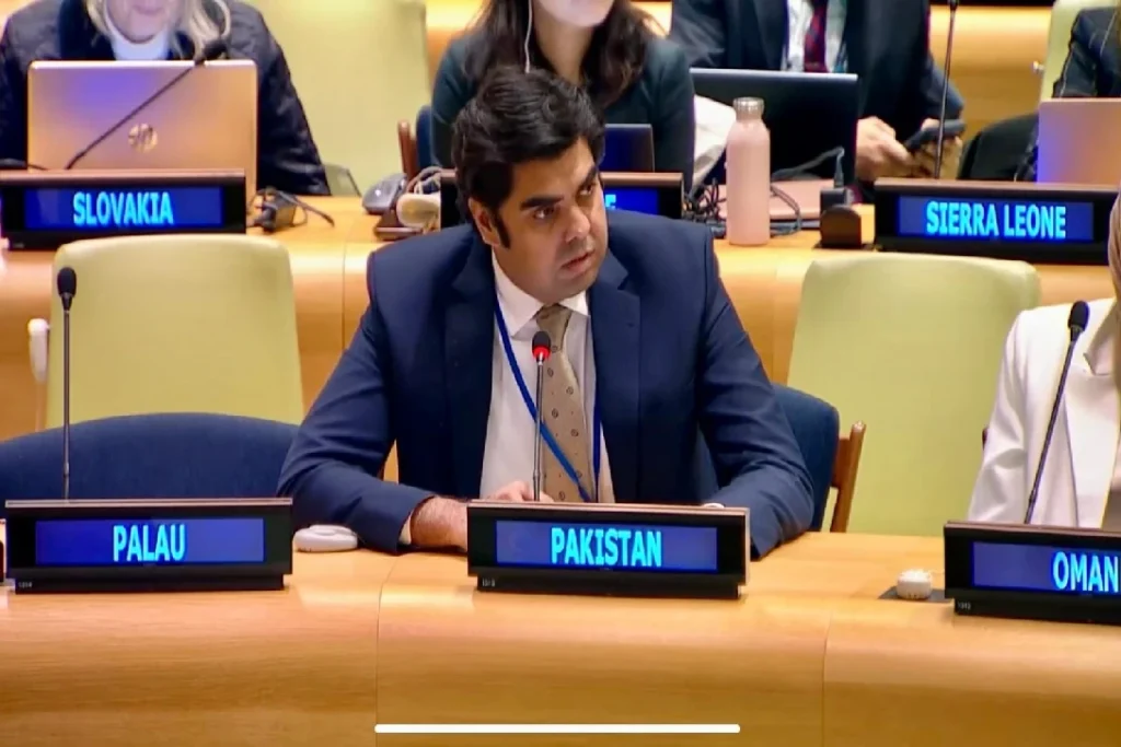 بھارتی مندوب مؤقف کو مسترد کرتے ہوئے پاکستانی مندوب ذوالفقار علی نے کہا کہ مکشمیر ایک متنازعہ علاقہ ہے، لیکن افسوسناک بات یہ ہے کہ وہاں کے عوام کو حقِ خودارادیت سے محروم رکھا گیا ہے