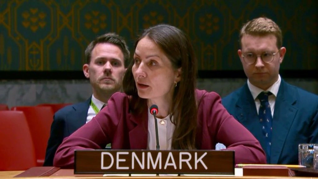 ٹی ٹی پی خطے کیلئے سنگین خطرہ ہے؛ ڈنمارک نے اقوام متحدہ میں پاکستان کے مؤقف کی تائید کر دی