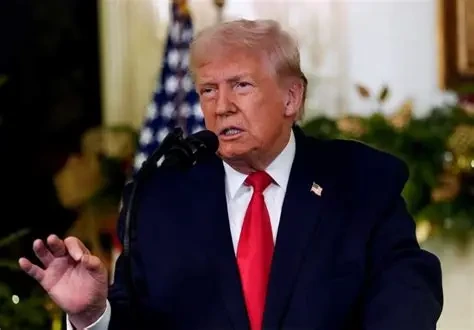 امریکی صدر ڈونلڈ ٹرمپ کے مطابق شمال مغربی نائیجیریا میں داعش کے ٹھکانوں کو امریکی افواج نے نشانہ بنایا