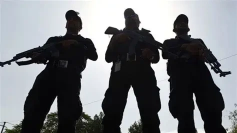 پشاور پولیس کی رپورٹ کے مطابق سال دو ہزار پچیس میں دہشت گردی، جرائم اور منشیات کے خلاف ایک ہزار سولہ سرچ اینڈ اسٹرائیک آپریشنز کیے گئے، سات سو اکیس افراد گرفتار کیا گیا