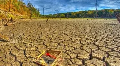 اے ڈی بی کی رپورٹ کے مطابق بلوچستان کا زیرِ کاشت رقبہ 7.2 فیصد رہ گیا ہے جبکہ ماہرین نے خبردار کیا ہے کہ پانی کی کمی برقرار رہی تو غذائی قلت اور بڑے پیمانے پر نقل مکانی کا خدشہ ہے۔