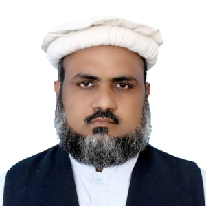 Picture of سیف اللہ خالد