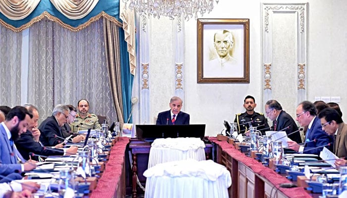 وزیراعظم شہباز شریف کا کہنا ہے کہ متعدد ممالک ہتھیار خریدنے میں دلچسپی رکھتے ہیں، ملکی معیشت کو فائدہ ہوگا