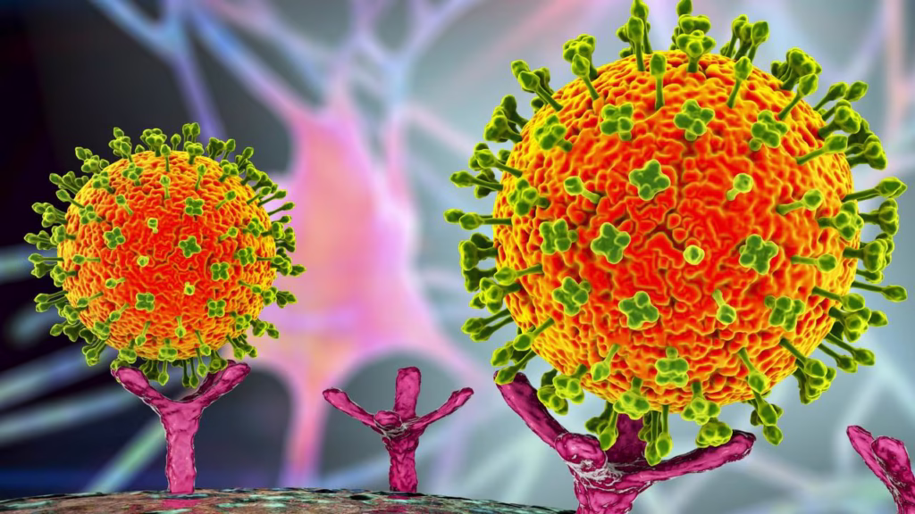   بھارت میں نیپا وائرس کے پھیلاؤ کے بعد پاکستانی سرحدوں کی نگرانی سخت، ایئرپورٹس پر ایمرجنسی نافذ