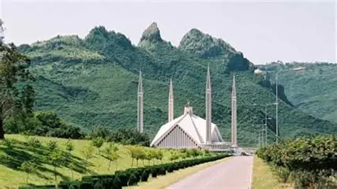 پنجاب فاریسٹ ڈپارٹمنٹ 14 فروری کو راولپنڈی اور مری کے اضلاع میں مارگلہ جنگلات کی بحالی کے لیے ایک وسیع البنیاد شجرکاری پروگرام منعقد کر رہا ہے، جس کے تحت 50 ہزار پودے لگائے جائیں گے