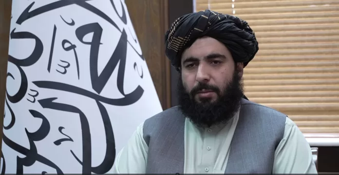 حمد اللہ فطرت کے پاکستان کی جانب سے افغان شہریوں کو نشانی بنائے جانے کے دعوے حکام نے مسترد کر دیے