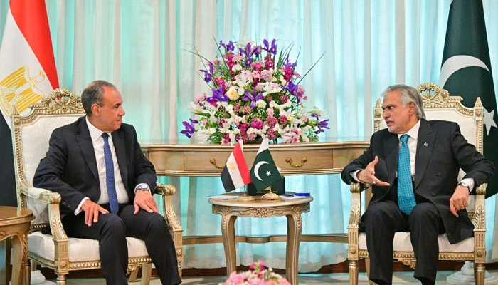 اسحاق ڈار کی مصری وزیر خارجہ سے ملاقات