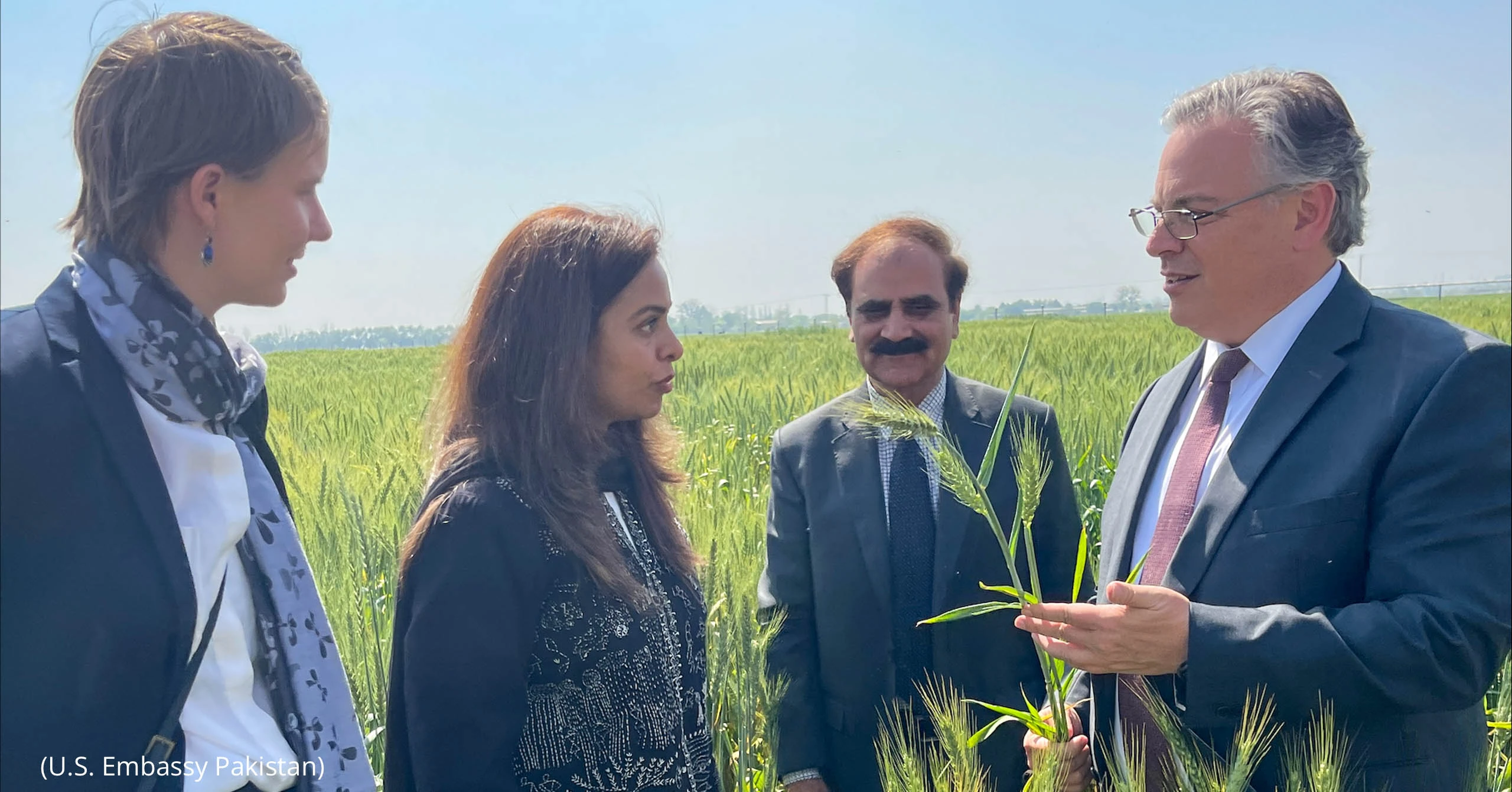 امریکا پاکستان گرین آلائنس