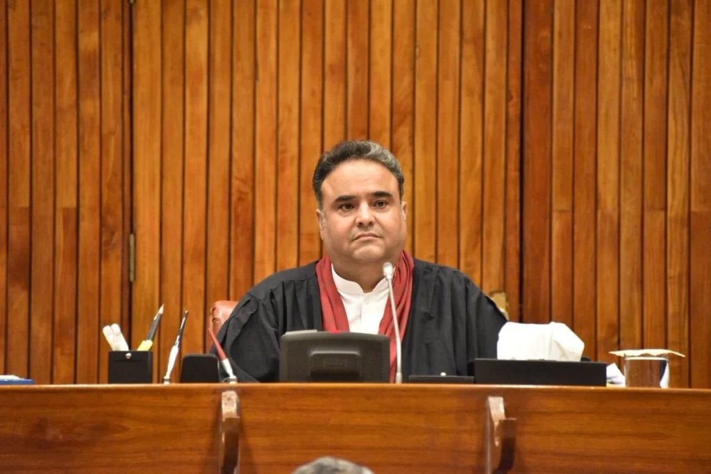 سینیٹر پلیانی کا بیان