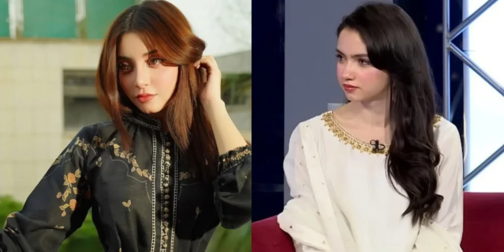 علیزے شاہ نے عینا آصف کی حمایت کر دی