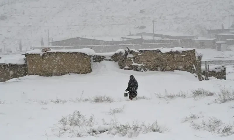 برف سے مرنے والا افغان شدت پسند