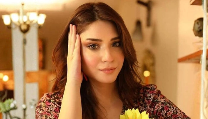 رمشا خان نے بریک لے لی