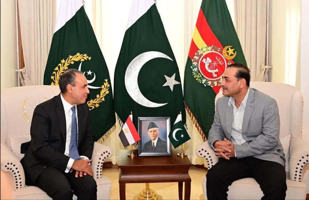 پاکستان اور مصر کی جنگ بندی کی کوششیں