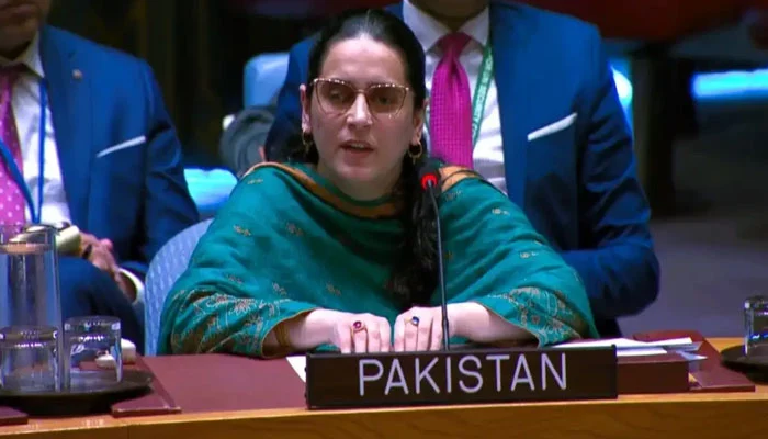 اقوامِ متحدہ میں پاکستان نے بھارت پر دہشت گردی برآمد کرنے کا الزام عائد کرتے ہوئے ٹی ٹی پی، بی ایل اے اور مجید بریگیڈ کو بھارتی پراکسی گروہ قرار دیا۔