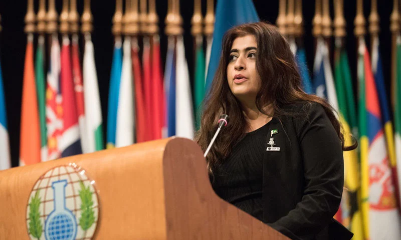 معروف دفاعی تجزیہ کار ڈاکٹر ماریہ سلطان نے خبردار کیا ہے کہ اگر طالبان نے اپنا طرزِ حکمرانی نہ بدلا اور ملک کو ترقی پسند بنیادوں پر استوار نہ کیا تو افغانستان نسلی بنیادوں پر تقسیم ہو سکتا ہے۔