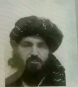 قبائلی رہنما مفتی جان امیر وانا دھماکے میں شہید