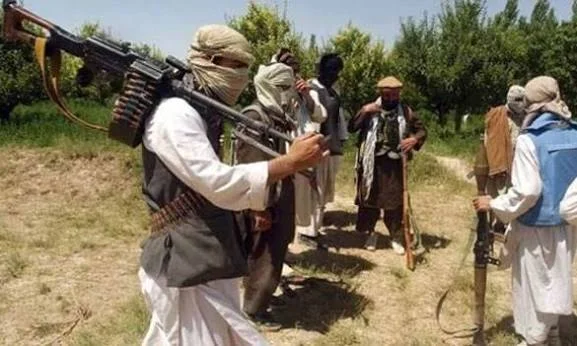 افغانستان میں عسکریت پسند گروہ