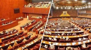 سانحہ پمز پر پارلیمانی کمیٹی بنانے کی منظوری