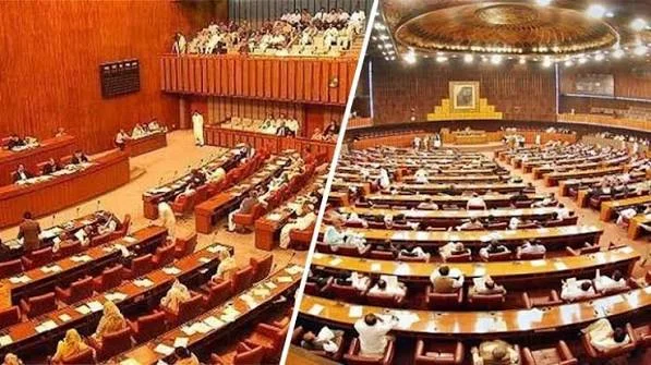 سانحہ پمز پر پارلیمانی کمیٹی بنانے کی منظوری