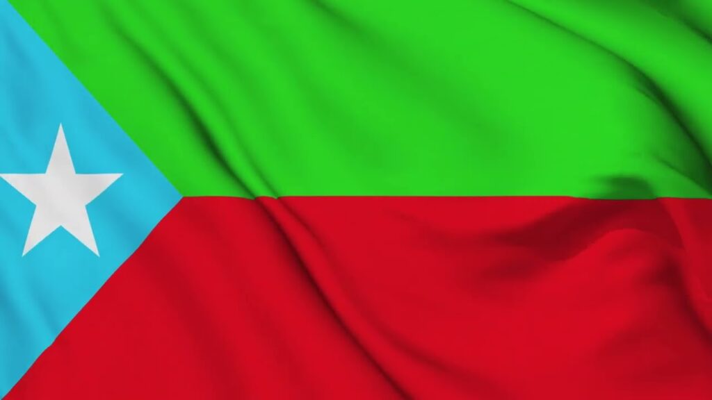 بی ایل اے کا پرچم: موساد اور را کا مبینہ گٹھ جوڑ