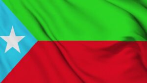 بی ایل اے کا پرچم: موساد اور را کا مبینہ گٹھ جوڑ