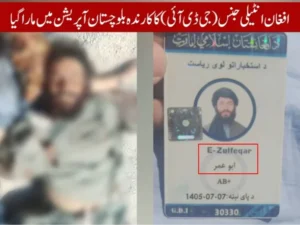 پاکستان میں دہشت گردی: ملوث افغان عناصر کے شواہد سامنے آ گئے