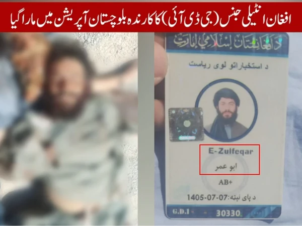 پاکستان میں دہشت گردی: ملوث افغان عناصر کے شواہد سامنے آ گئے