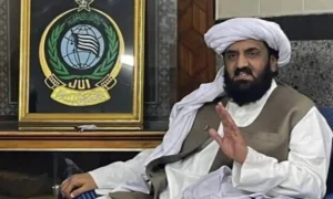 حافظ حمداللہ کا فارم 47 بیان، جے یو آئی (ف) پر سوالات