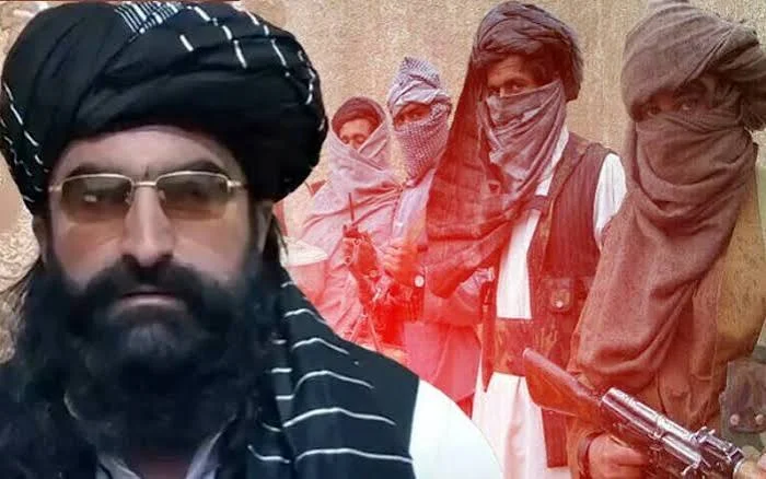 ٹی ٹی پی سربراہ نور ولی محسود