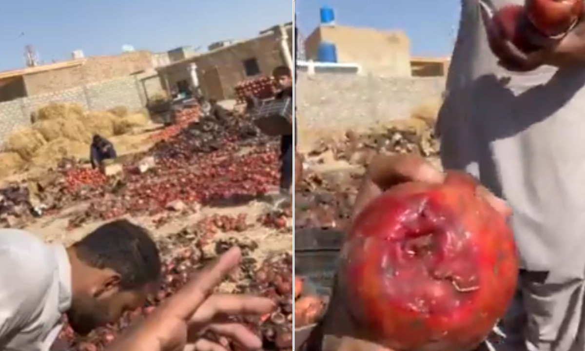 پاکستان سے تجارتی راستے بند، افغان انار گلنے سڑنے لگے