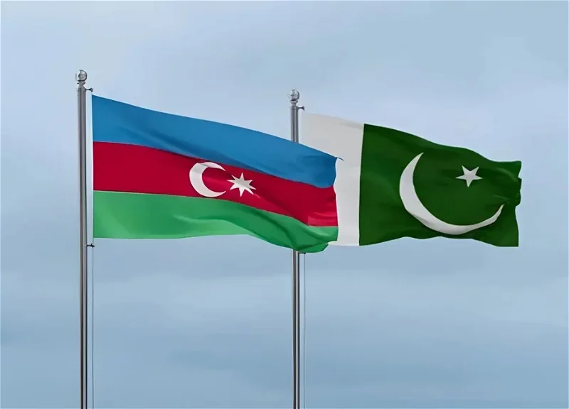 او ایس سی ای کانفرنس میں پاکستان کا مؤقف