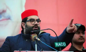 ایمل ولی خان کا پاک بھارت جنگ پر متنازع بیان